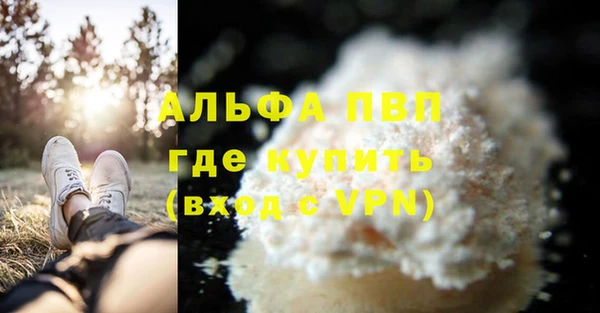 прущие грибы Беломорск