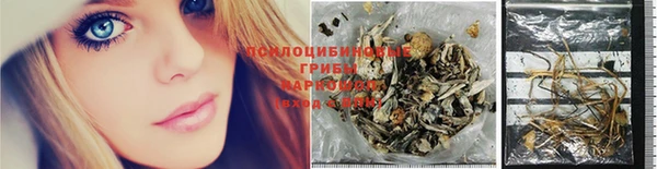 прущие грибы Беломорск
