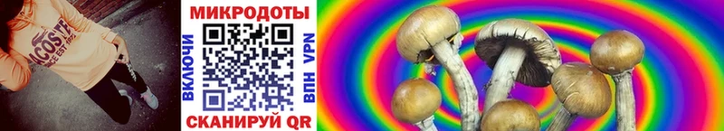 Галлюциногенные грибы MAGIC MUSHROOMS  мориарти клад  Ермолино 